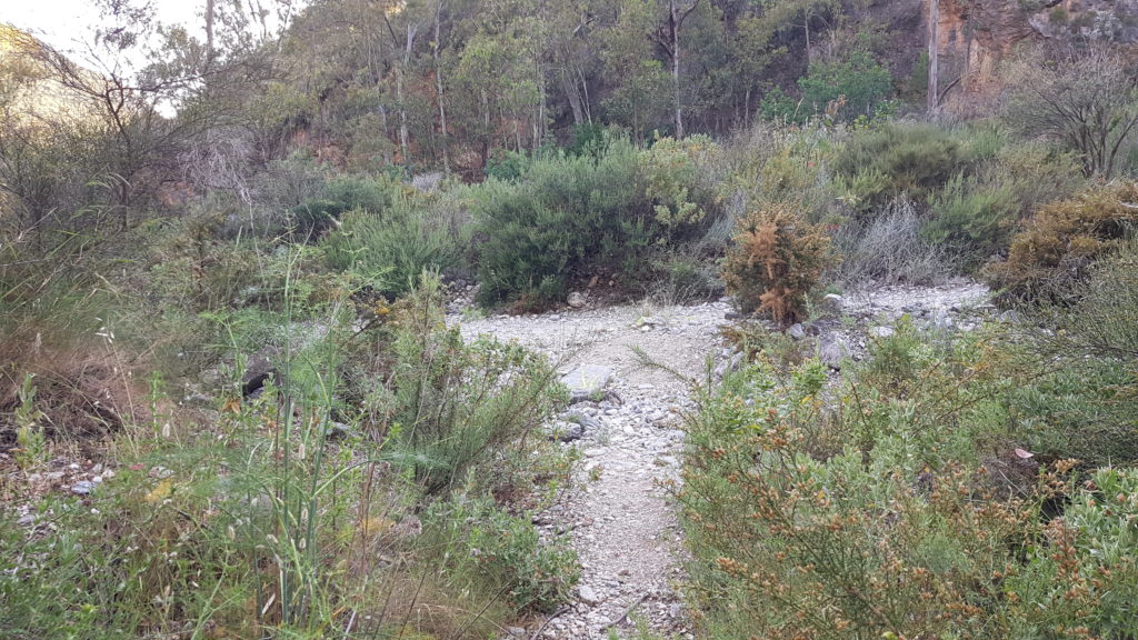 Ruta Tajos del Sol y Navachica. Salida al Barranco de Cazadores