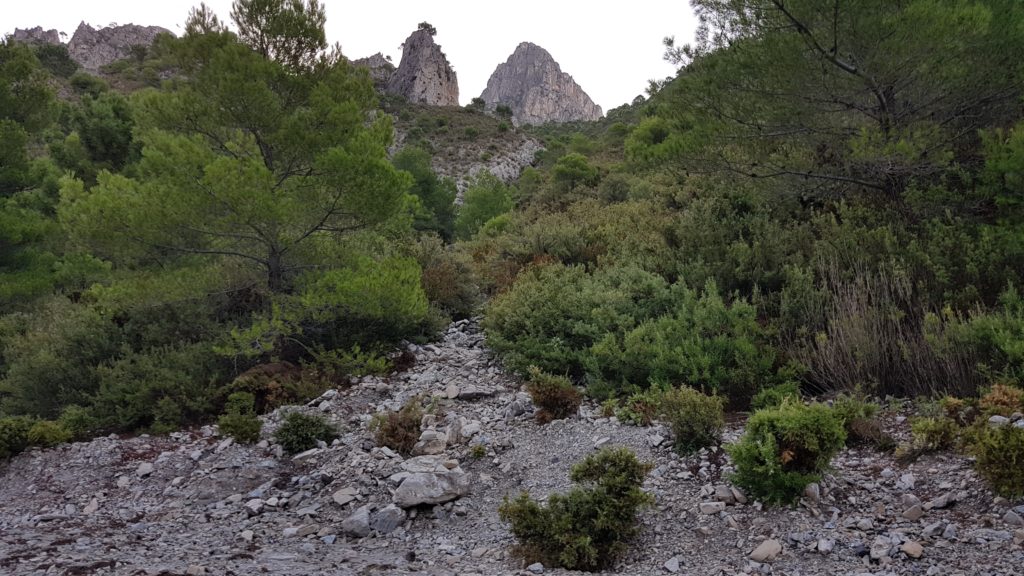 Entrada al sendero del Cisne