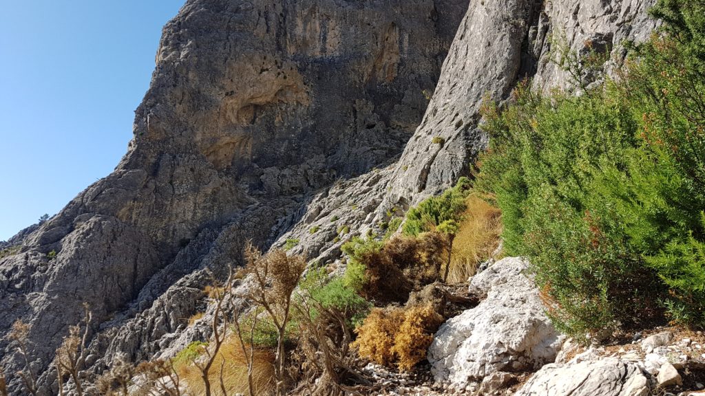 Collado de Dos Hermanas. Trepada de acceso al Cisne