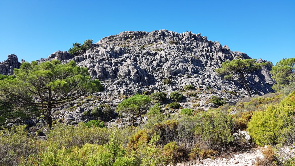 Base de la cumbre del Cisne