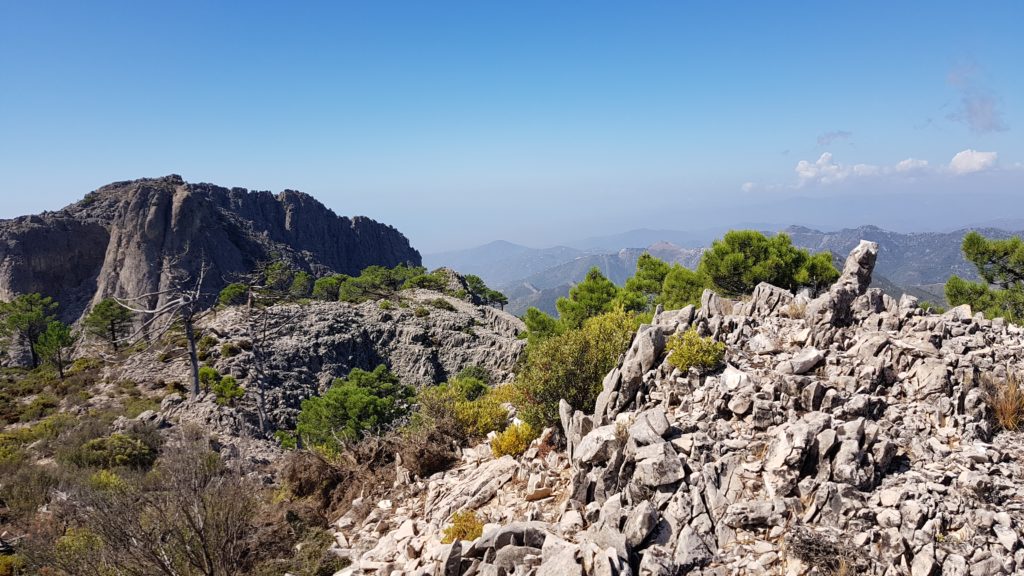 Altos del Higuerón. Cumbre 1