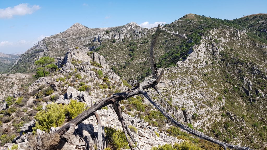 Altos del Higuerón. Cumbre 2 al fondo