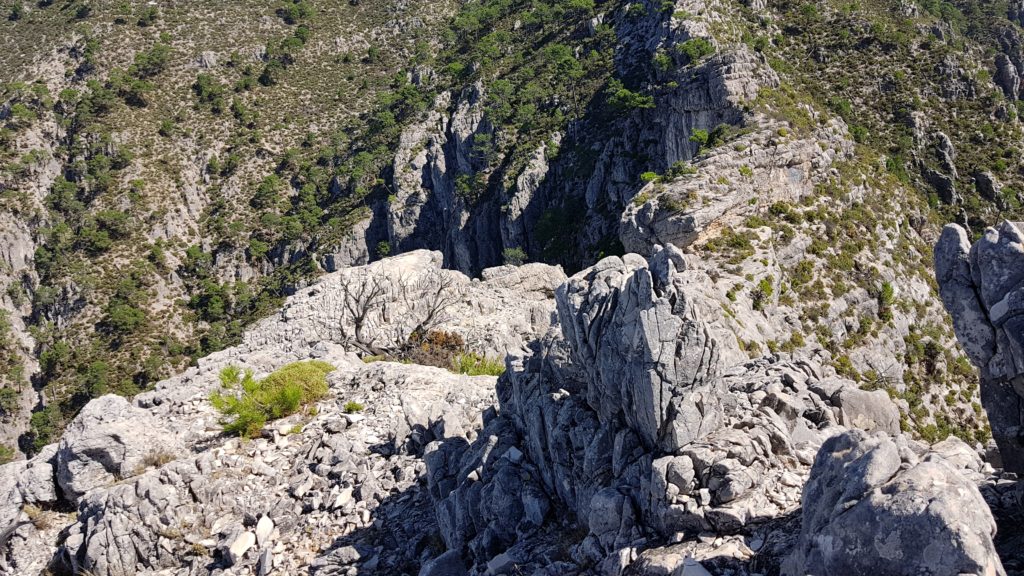 Descenso de Cumbre 2 hacia paso expuesto