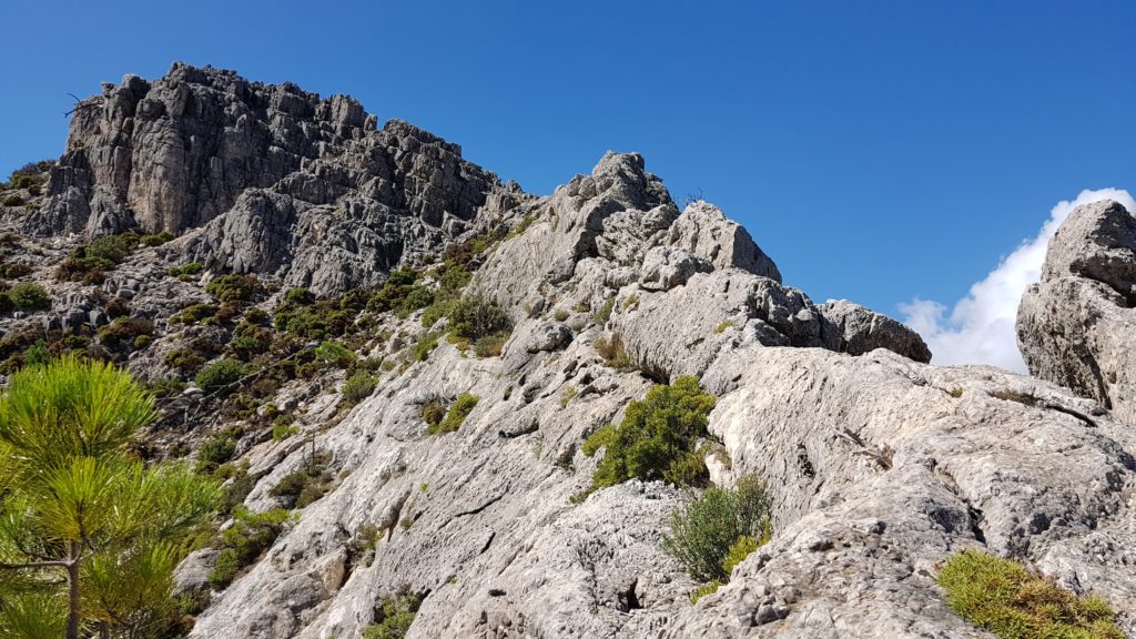 Vista del filo rocoso que ya hemos destrepado. La cumbre 2 al fondo