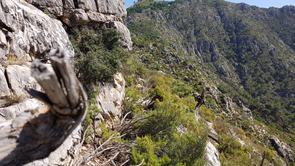 Avanzando por la ladera