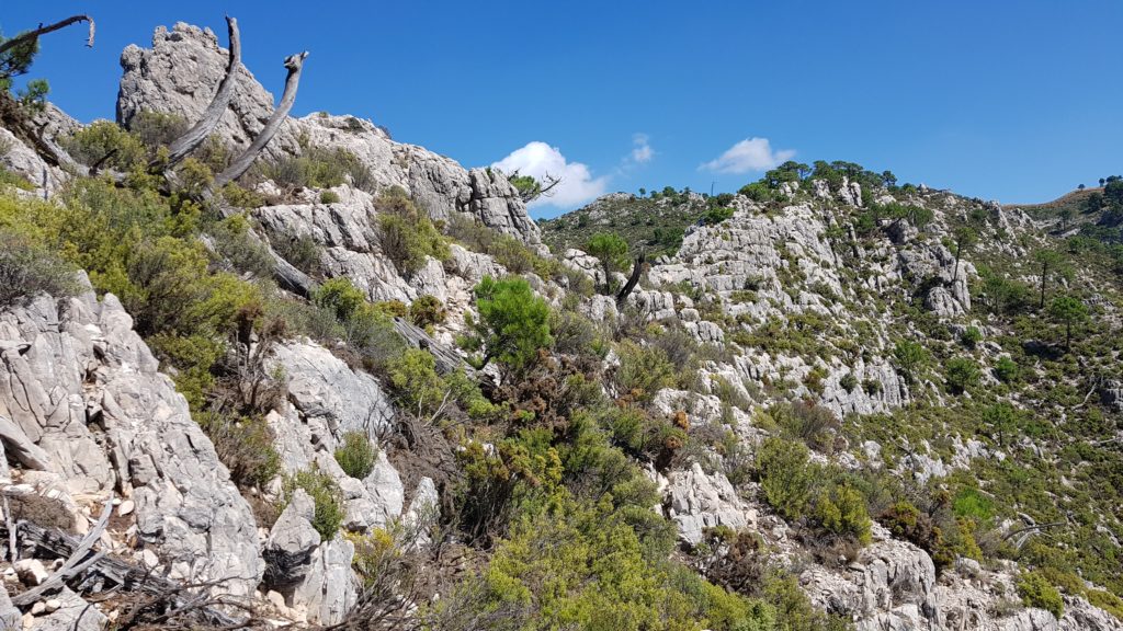 Segundo tramo de ladera. Ahora debemos ascender