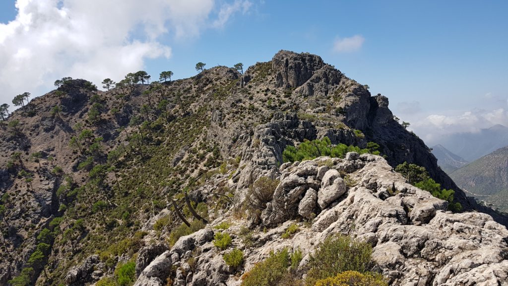 Paso aéreo. Vista atrás