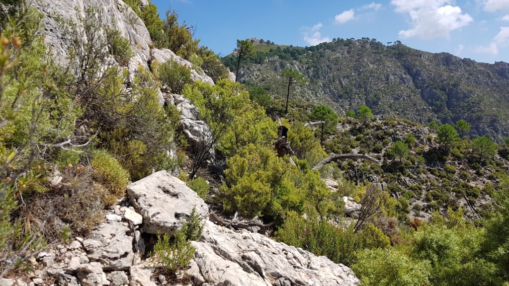 Nuevo tramo de ladera