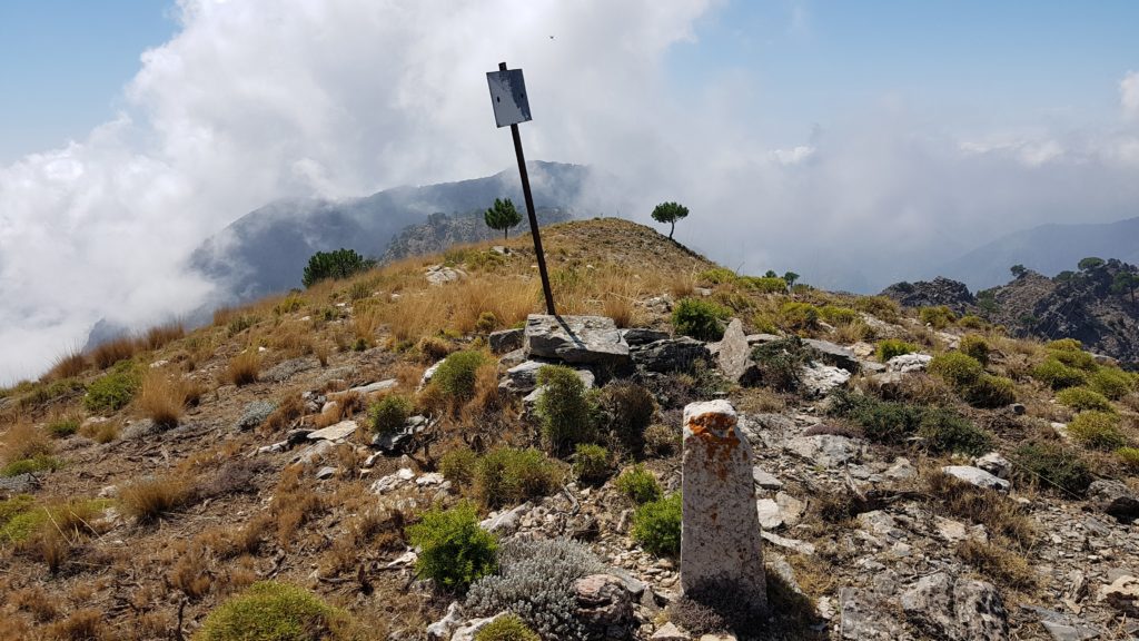 Cerro de Hierba