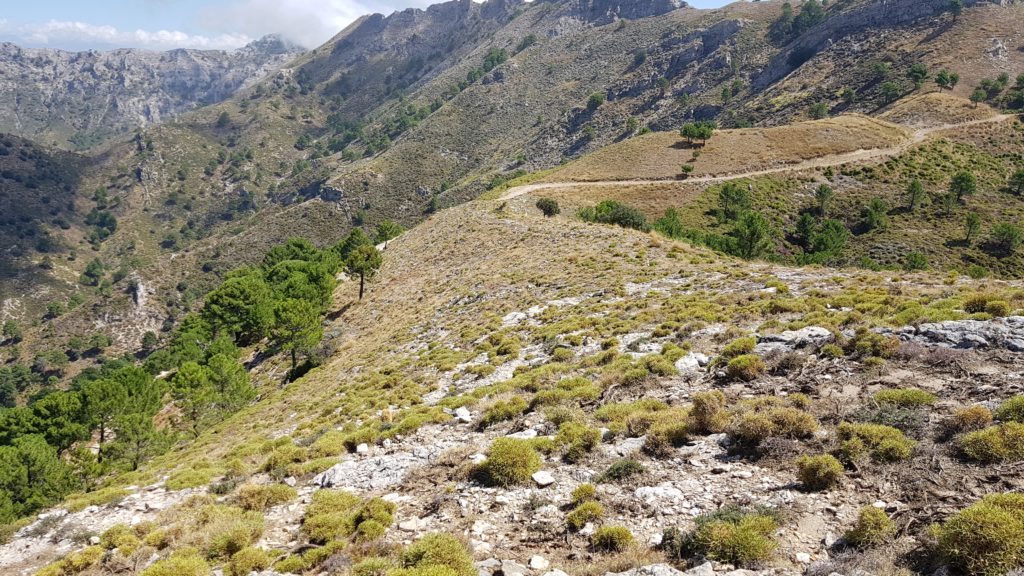 Descenso a la pista