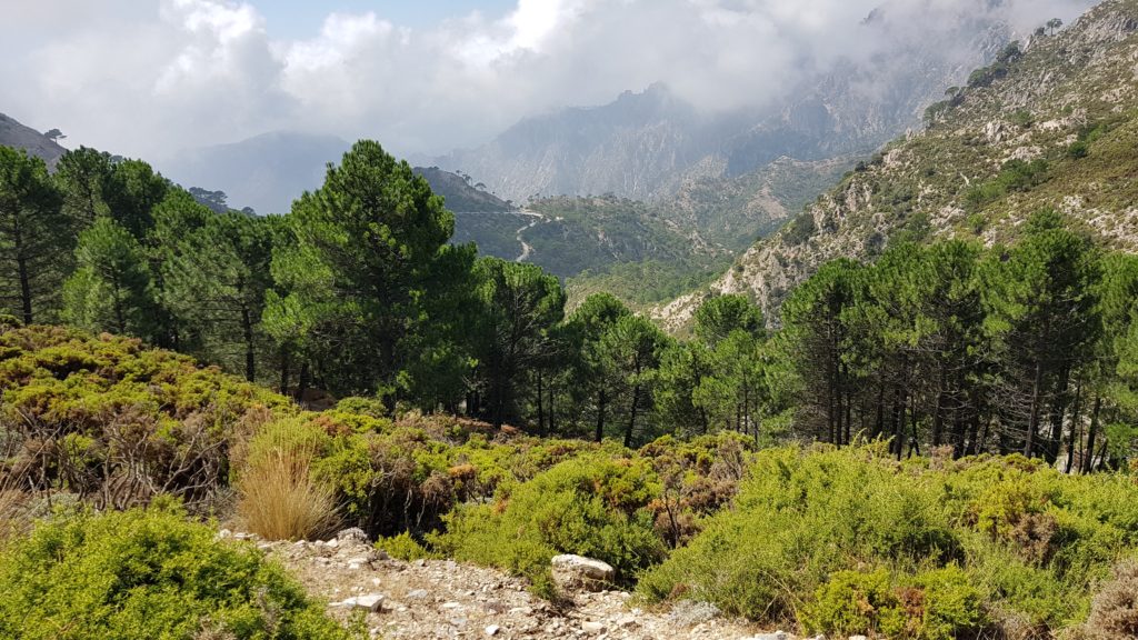 Vistas del descenso desde Collado Cacharro