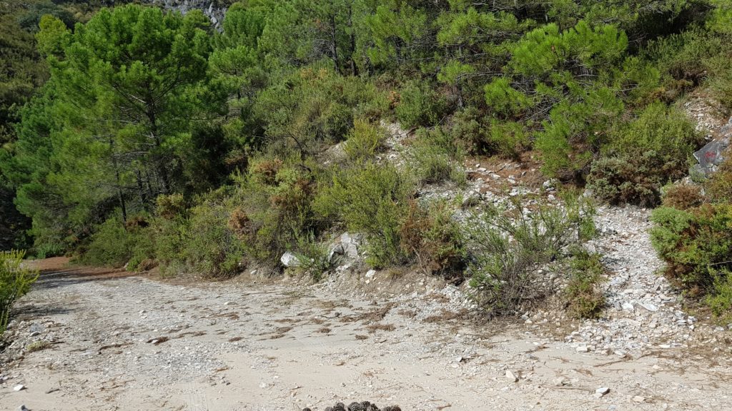 Salida a pista del sendero del Puerto de Frigiliana