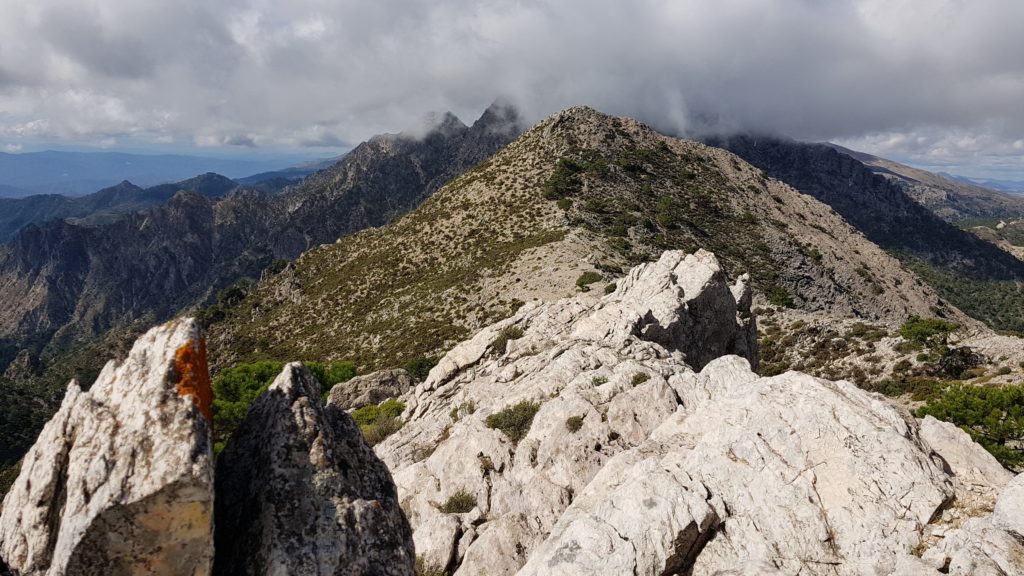 Cumbre Este y Vista al Cerro de los Machos