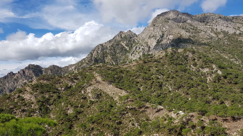 Vistas al Lucero y al Cerro del Caracolillo desde el Atajo