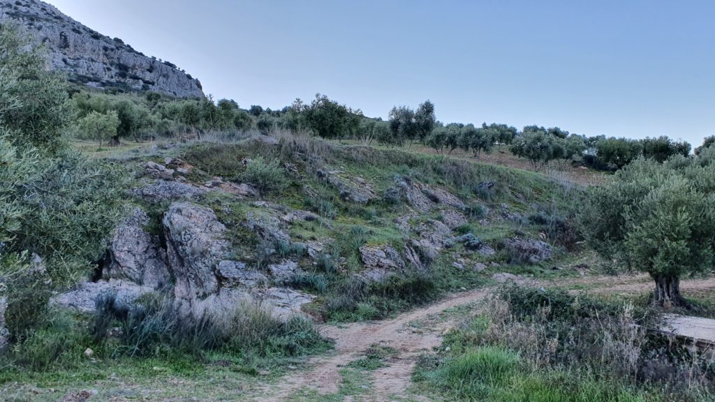 Camino de inicio de la Ruta