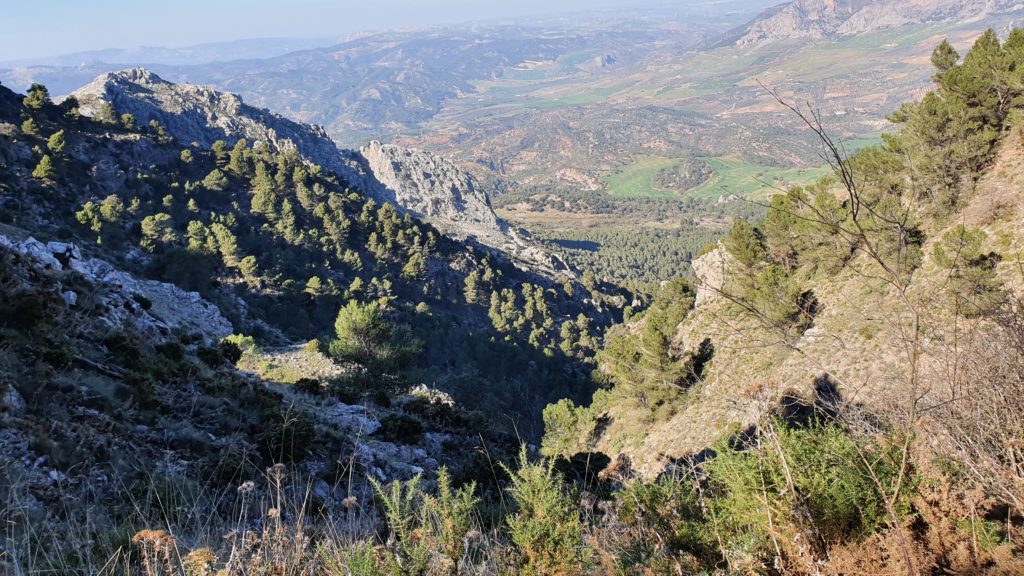 Cañada del Arroyo de las Doncellas