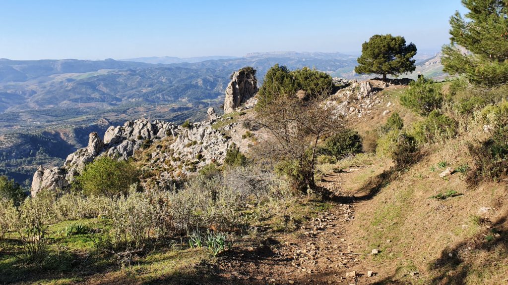 Mirador de la Campana