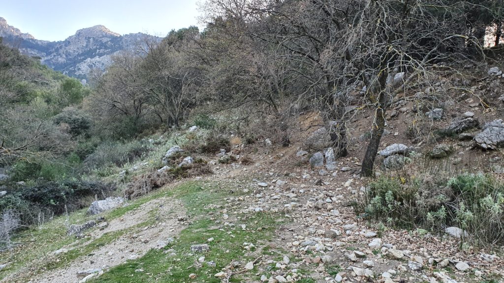 Arroyo de las Doncellas