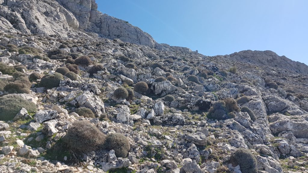 Cañada del Perelló. Subiendo hacia el collado