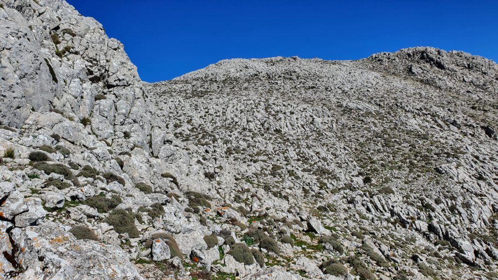 Rodeando la Cañada del Encinar