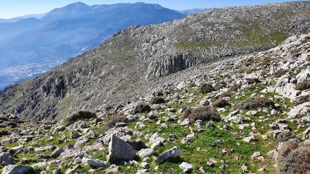 Cañada del Encinar. Vista atrás una vez atravesada