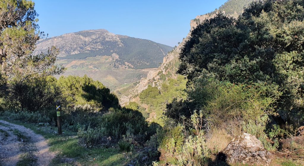 Cruce de senderos. Descenso a izquierda