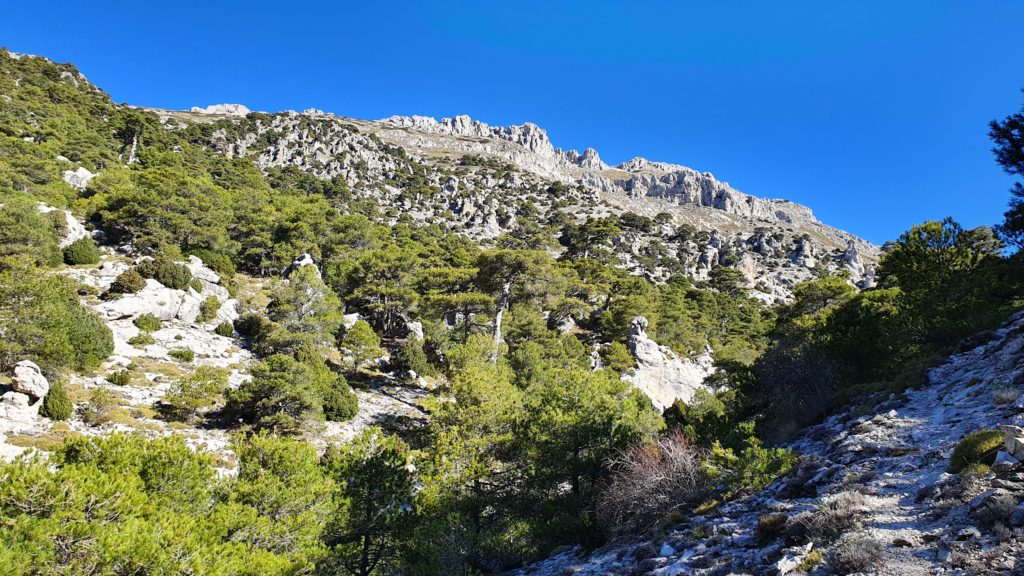 Sendero a la Fuentezuela