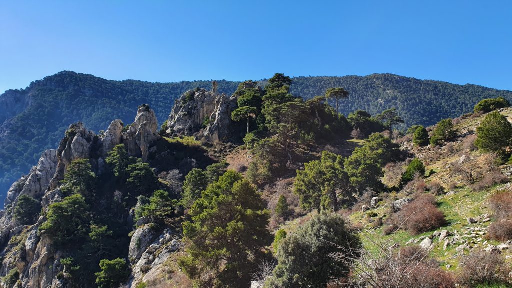 Vista al Collado de la Cueva de los Lobos desde el camino a la Fuentezuela