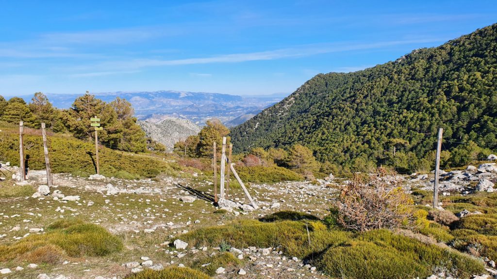 Collado del Puerto. Sendero a Fuente del Milagro