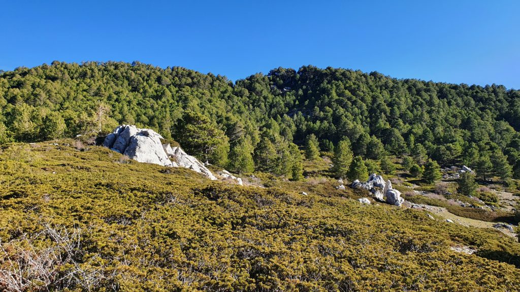 Sendero a Fuente del Milagro