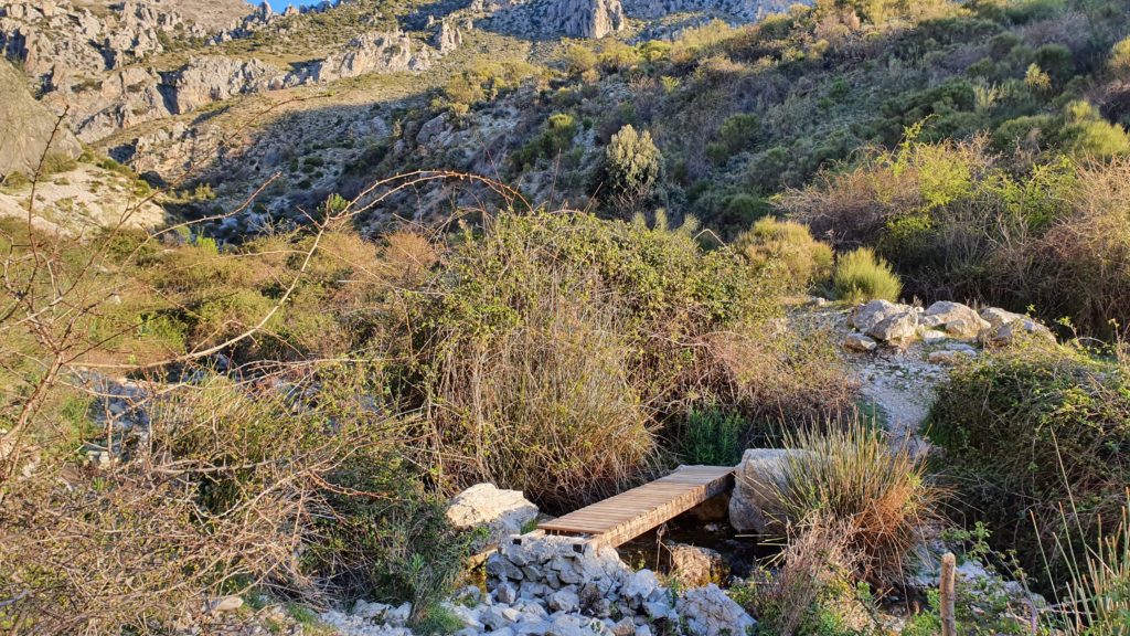 Puentes de madera