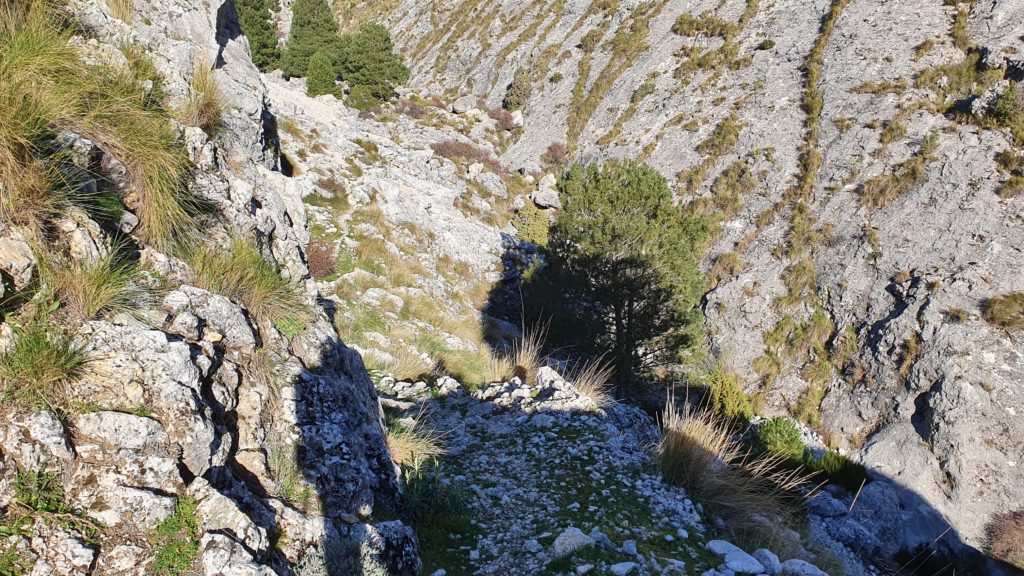 Descenso al cauce y cruzando a la márgen derecha