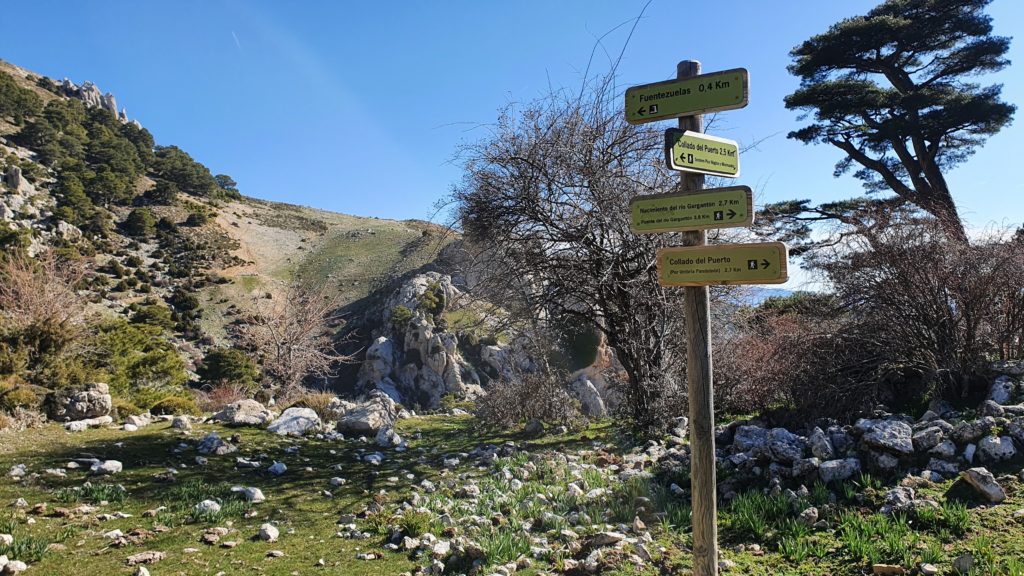 Collado de la Cueva de los Lobos. Vista a la Fuentezuela