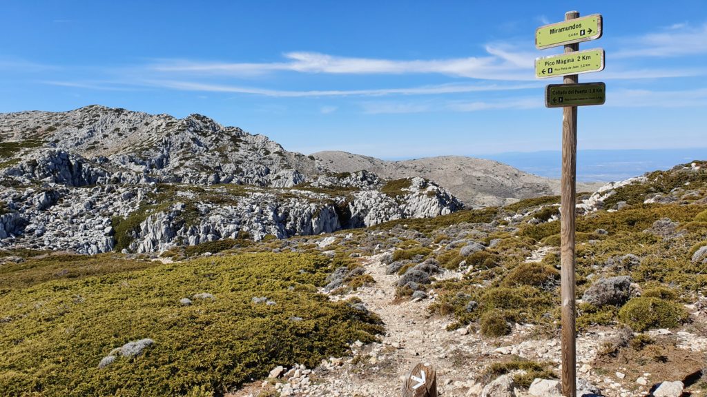 Cruce de senderos