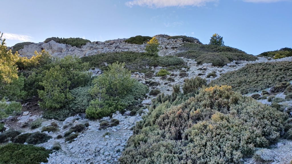 Sendero. Vista al punto de fácil acceso a la Cuerda del Milagro