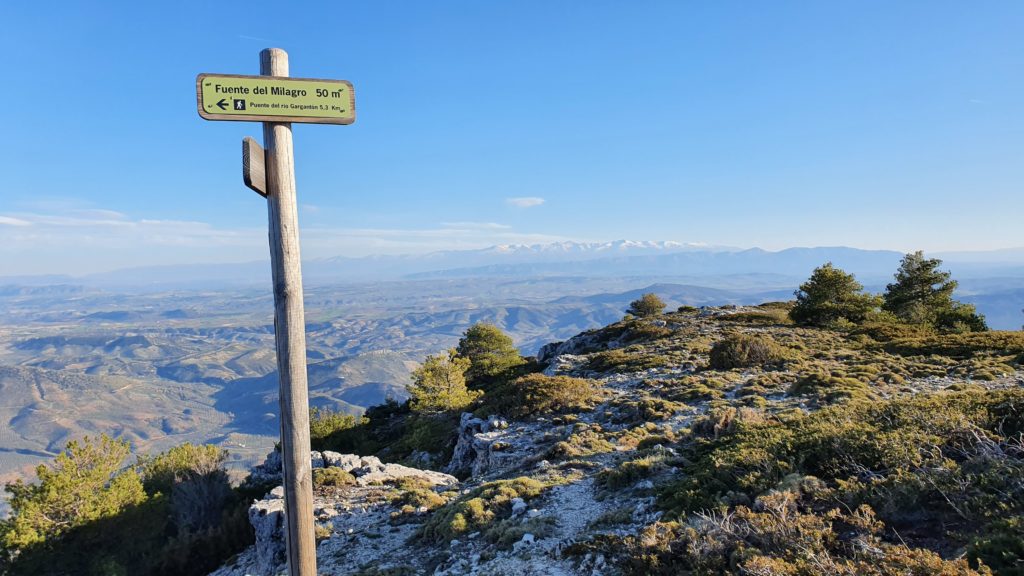 Fuente del Milagro