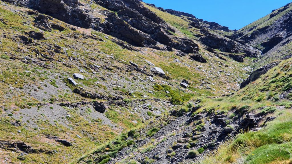 Barranco de las Albardas