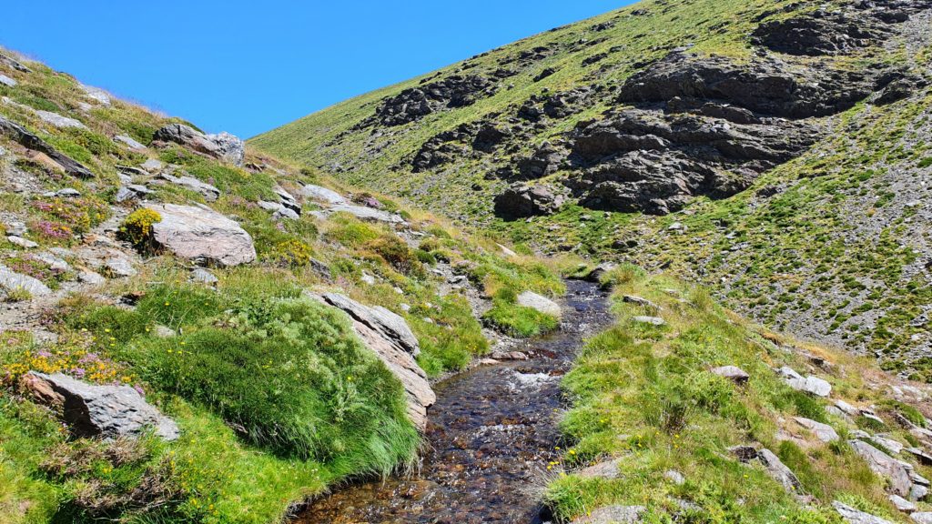 Acequia del Sabinar