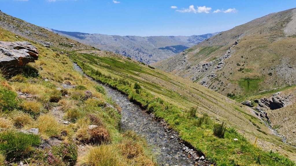 Acequia de Vacares. Vista atrás