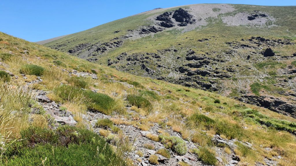 Cañada Real de Vacares, vista atrás