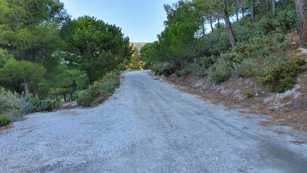 Pista. Cruce con Carril del Muerto. Seguir recto