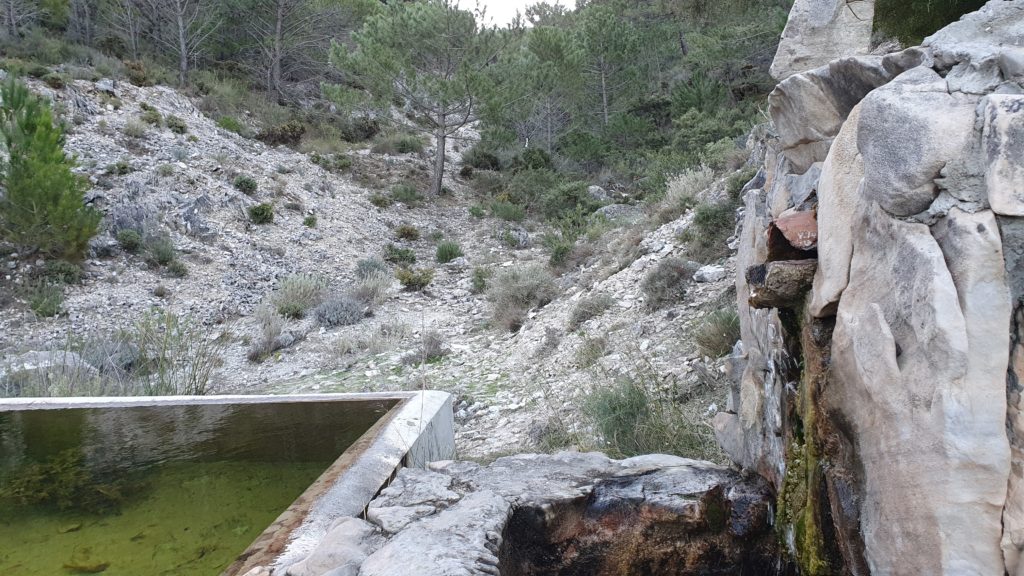 Fuente Borriquero y Barranco de Borriqueros