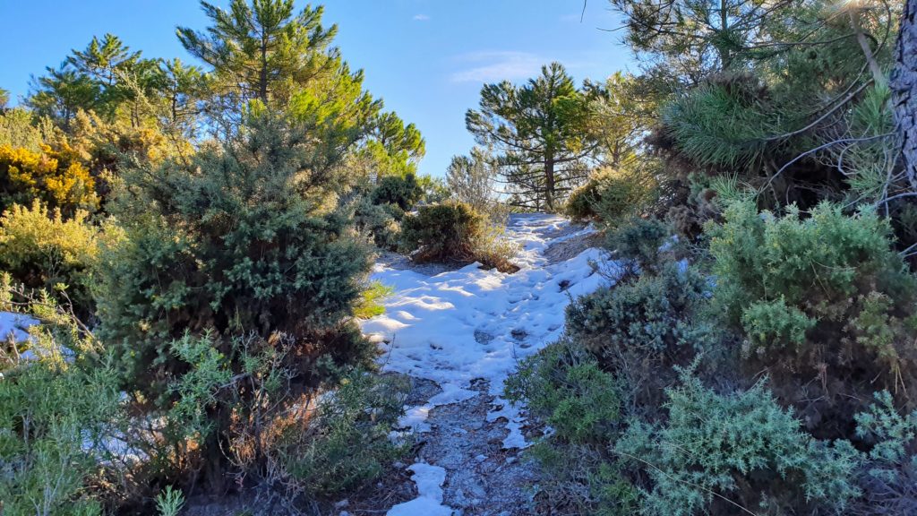 Sendero nevado a la cresta