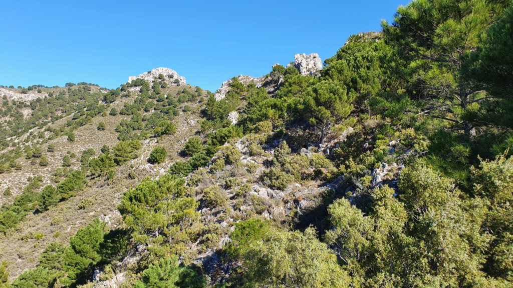 Sendero al Cerro de la Atalaya. Parte inicial