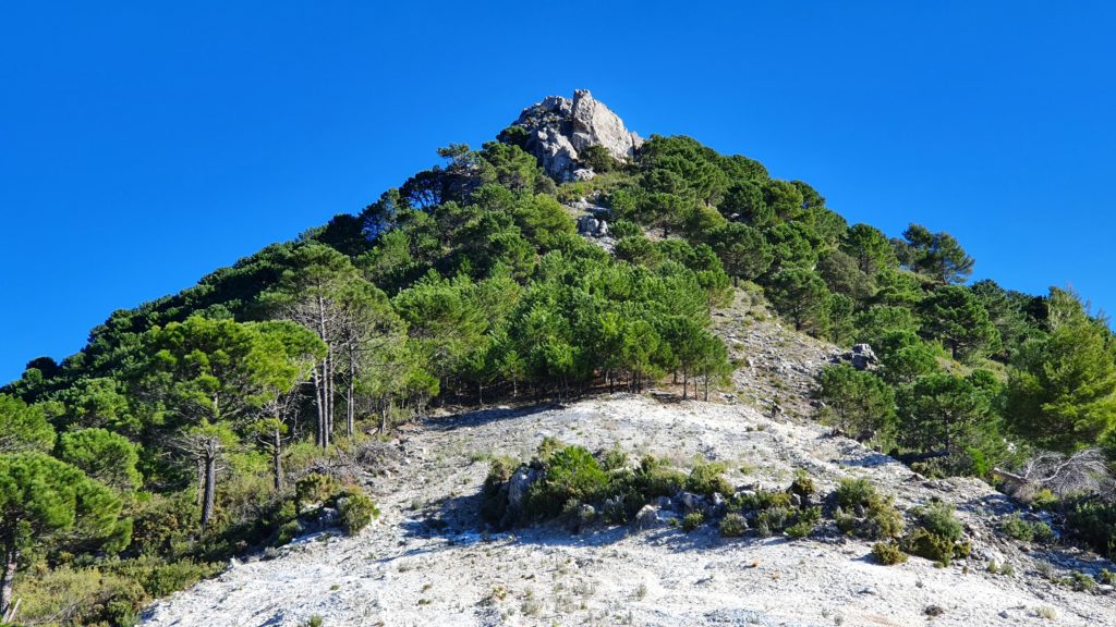 La Atalaya desde el cortafuegos