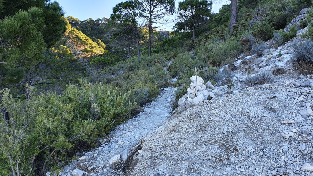 Sendero después del Cortafuegos