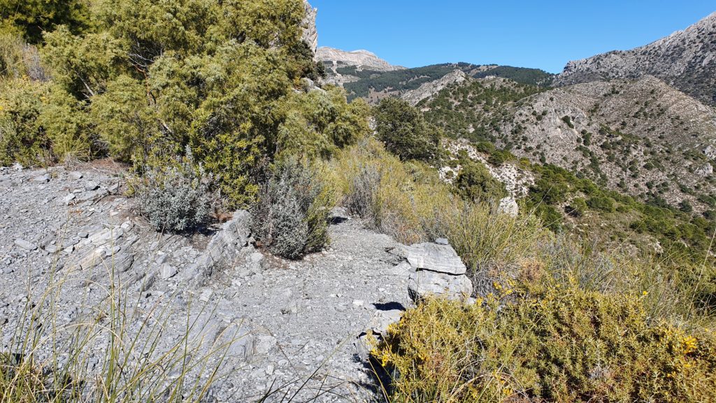 Sendero a la cresta. Derecha