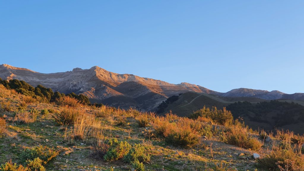 Cresta y laderas del Morrón