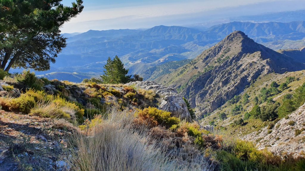 Morrón de Tejeda por Collado de la Cuna. Desvío hacia el Collado de la Cuna