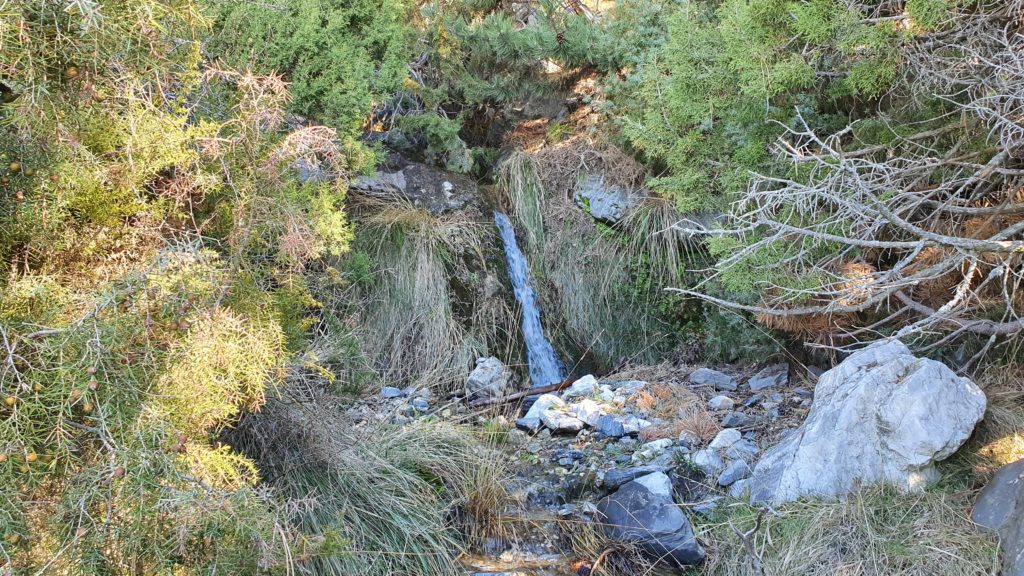 Río Encina